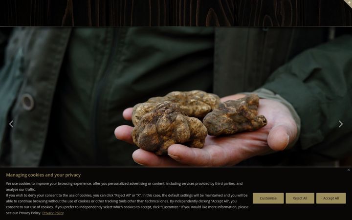 Kuvakaappaus sivustosta ilbego.com