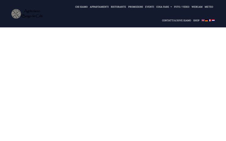 Screenshot of ilborgodeicelti.com