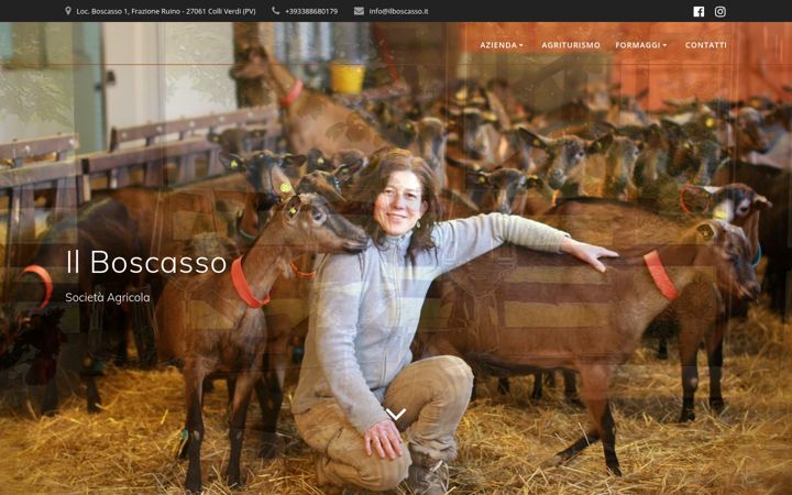 Screenshot of ilboscasso.it
