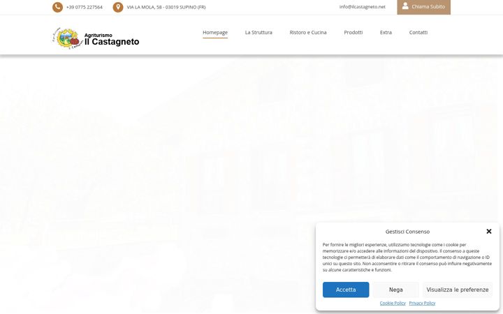 Screenshot of ilcastagneto.net