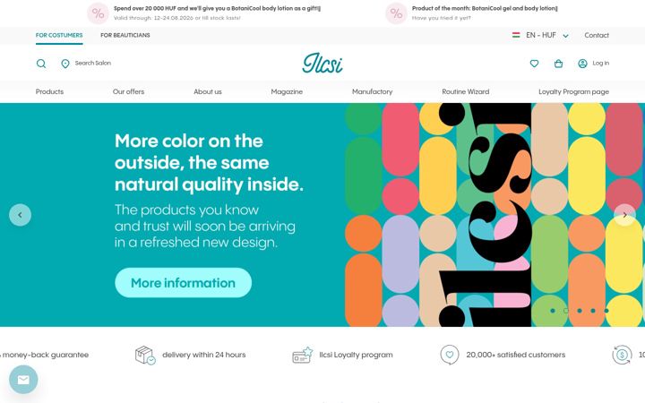 Screenshot of ilcsi.com