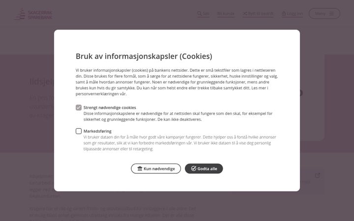 Screenshot of ildsjel-prisen.no