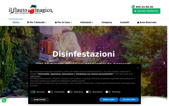 Screenshot of ilflautomagico.it