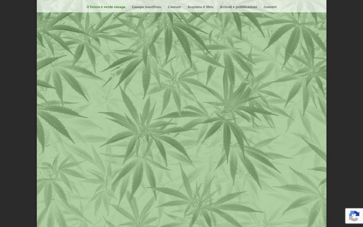 Screenshot of ilfuturoverdecanapa.it