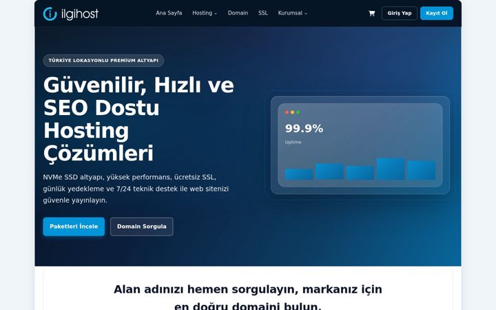 Screenshot of ilginet.com