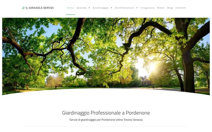 Képernyőkép: ilgirasoleservizi.it