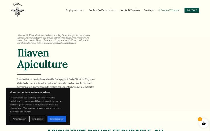 Screenshot of iliaven.fr