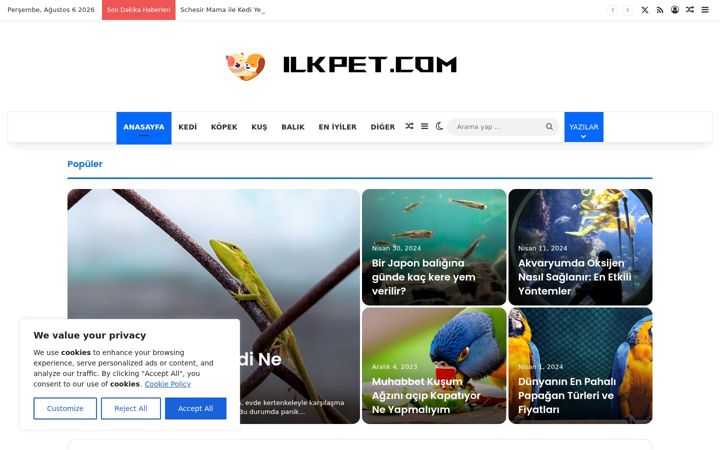 Screenshot of ilkpet.com