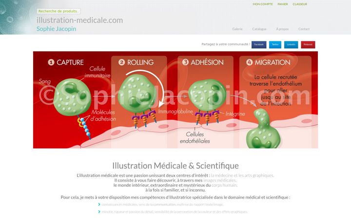 Snímek obrazovky illustration-medicale.com
