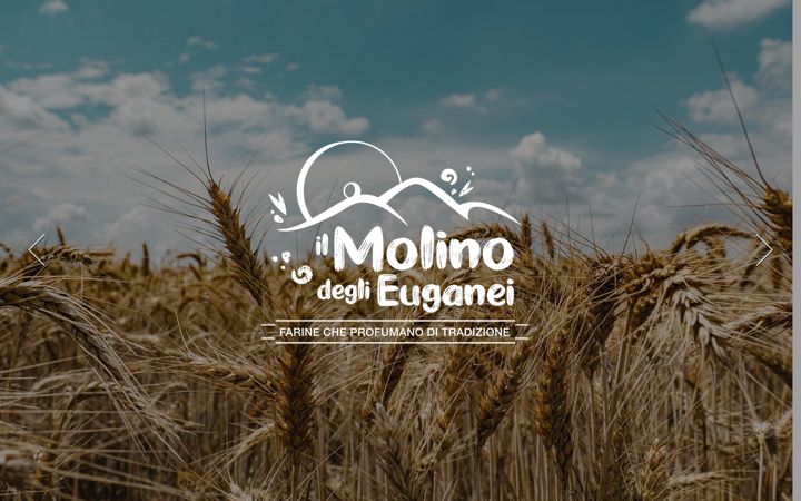 Screenshot of ilmolinodeglieuganei.it