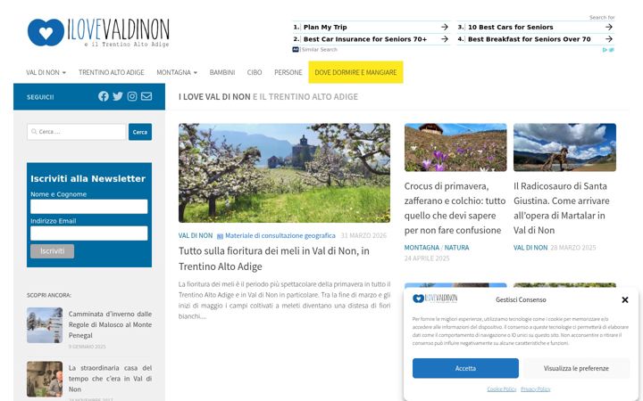 Screenshot of ilovevaldinon.it