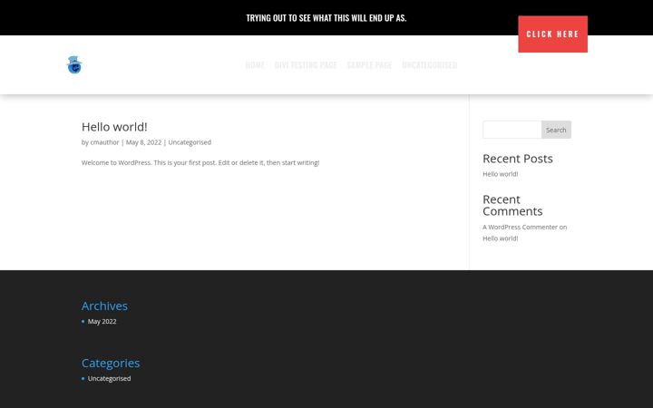 Screenshot of ilsemul.com
