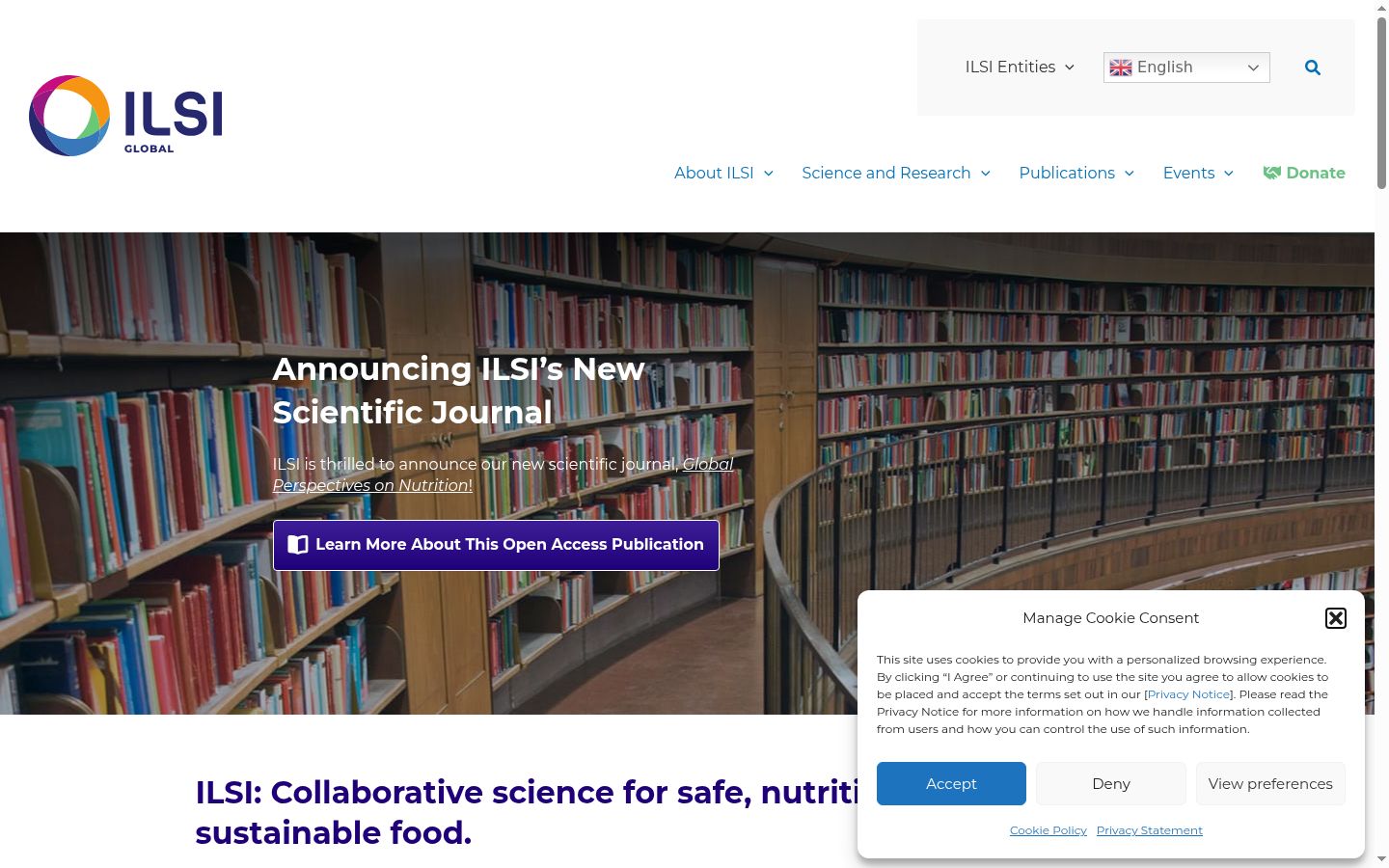 Screenshot of the consent banner shown before any interaction