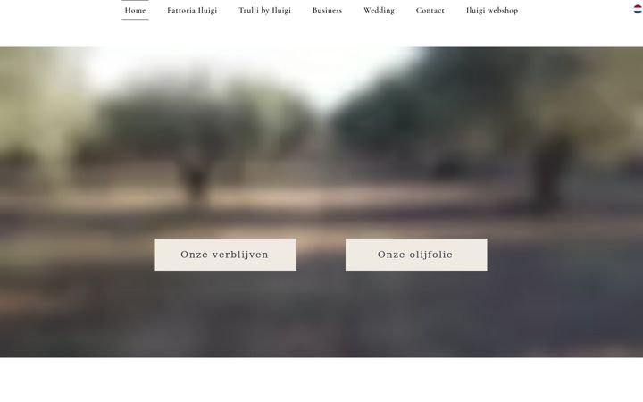 Screenshot of iluigi.net