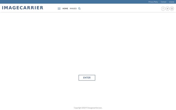Screenshot of imagecarrier.com