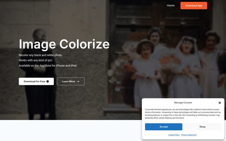 Screenshot of imagecolorize.com
