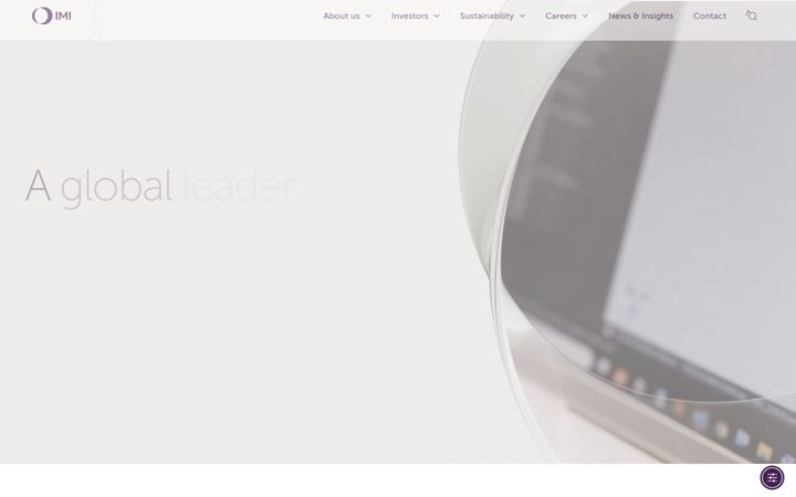 Screenshot of imiplc.com