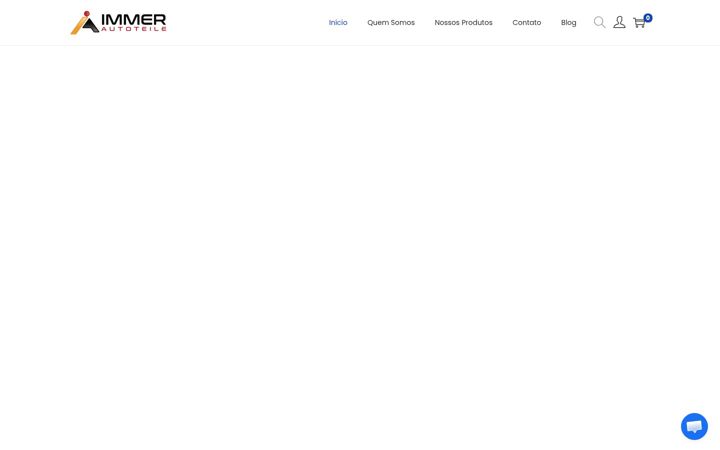 Screenshot of immerautoteile.com