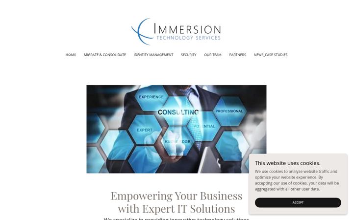 Skärmbild av immersiontechnologyservices.com