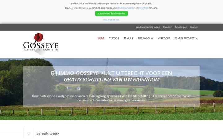 Screenshot of immo-gosseye.be