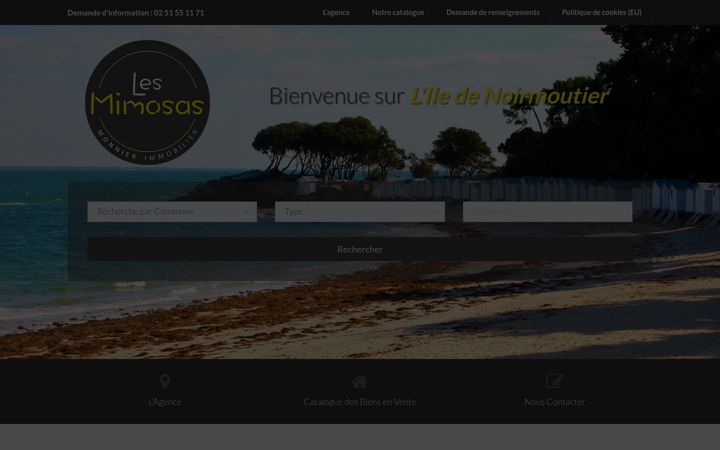 Screenshot of immobilier-a-noirmoutier.com