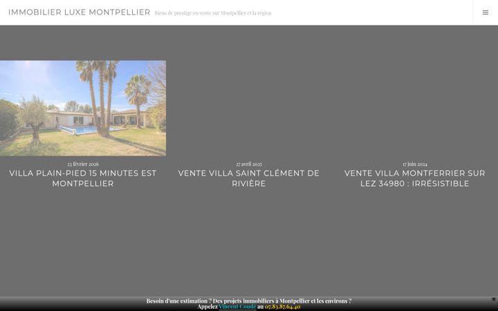 Skærmbillede af immobilier-luxe-montpellier.com
