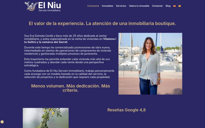 Screenshot of immobleselniu.com
