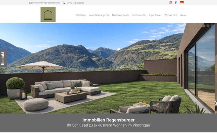 Ekraanipilt saidist immoregensburger.com