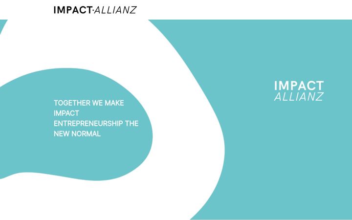 Screenshot of impactallianz.de