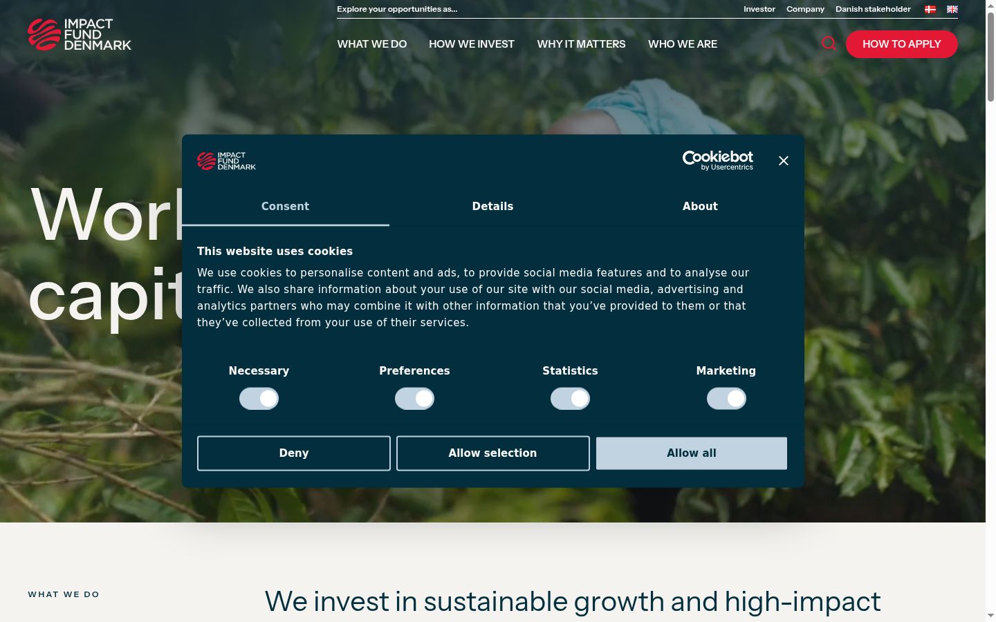 Screenshot of the consent banner shown before any interaction