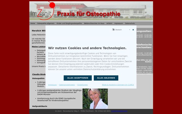 Screenshot of imzenit.de