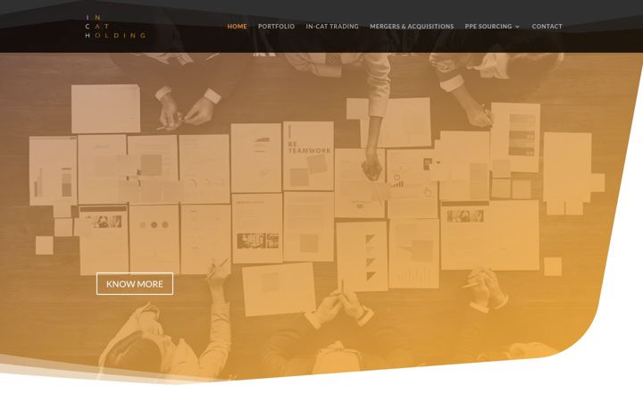Screenshot of in-cat.com