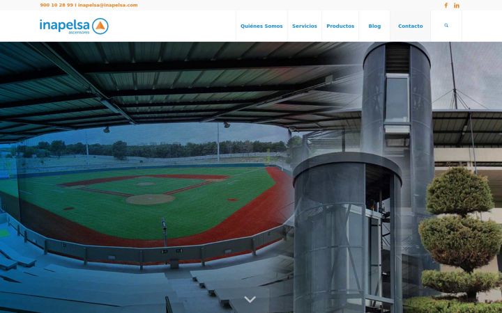 Screenshot of inapelsa.com