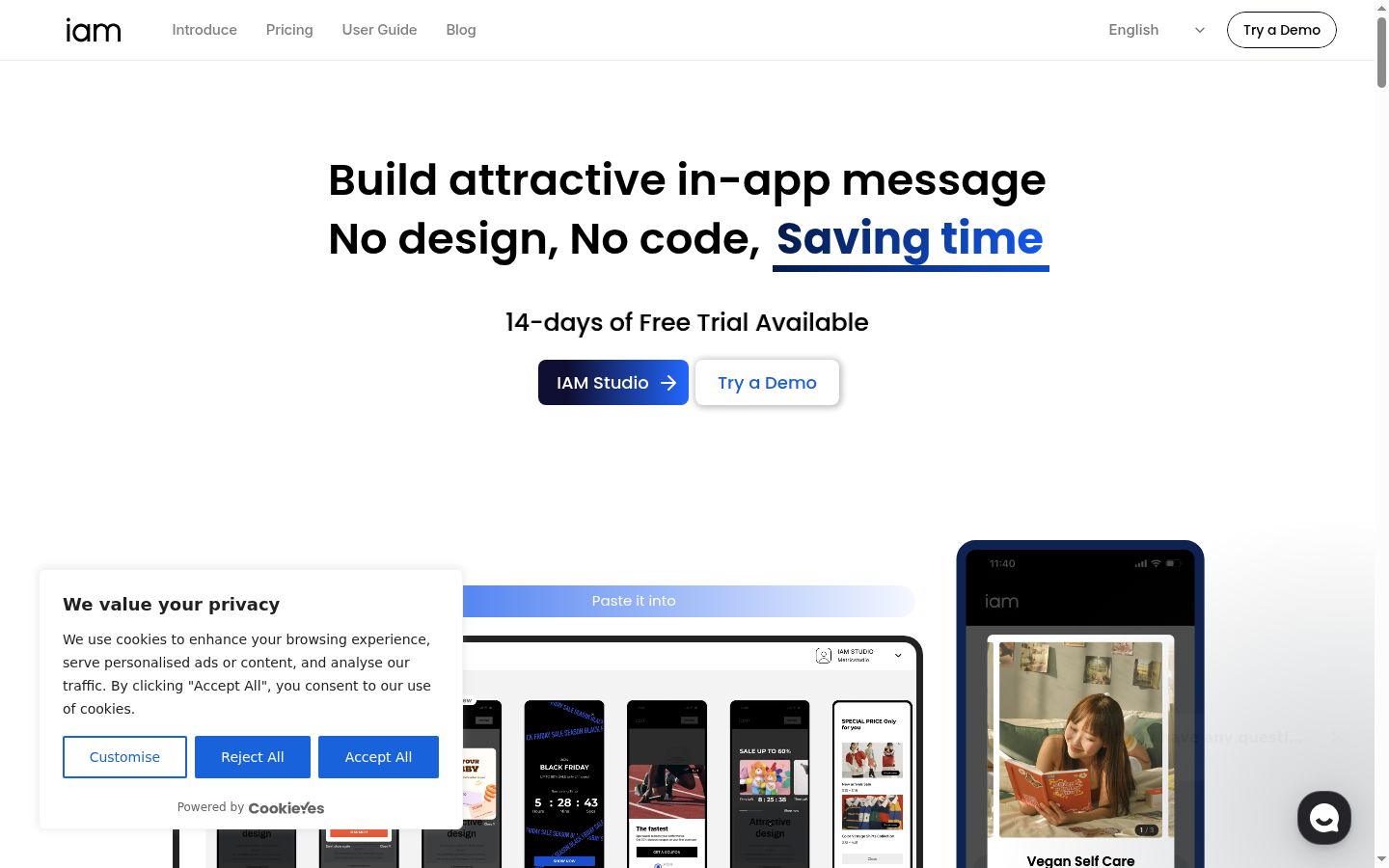 Screenshot of the consent banner shown before any interaction