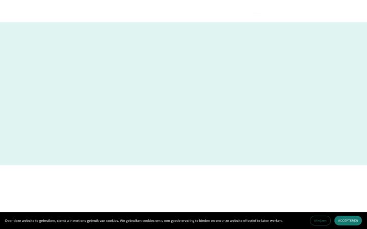 Screenshot of incentive-advies.nl