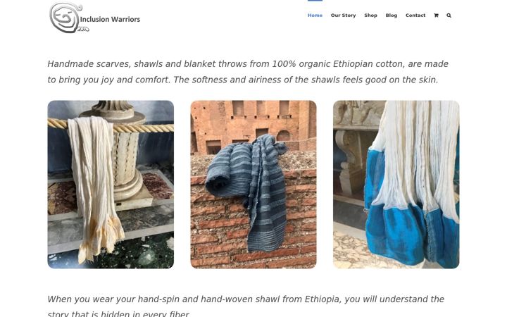 Screenshot of inclusionwarriors.com