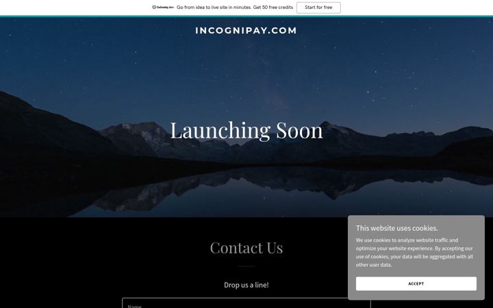 Screenshot of incognipay.com