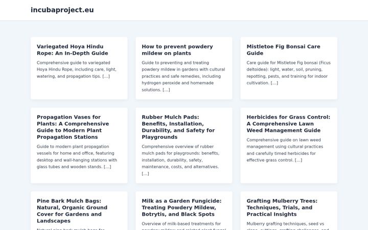 Screenshot of incubaproject.eu
