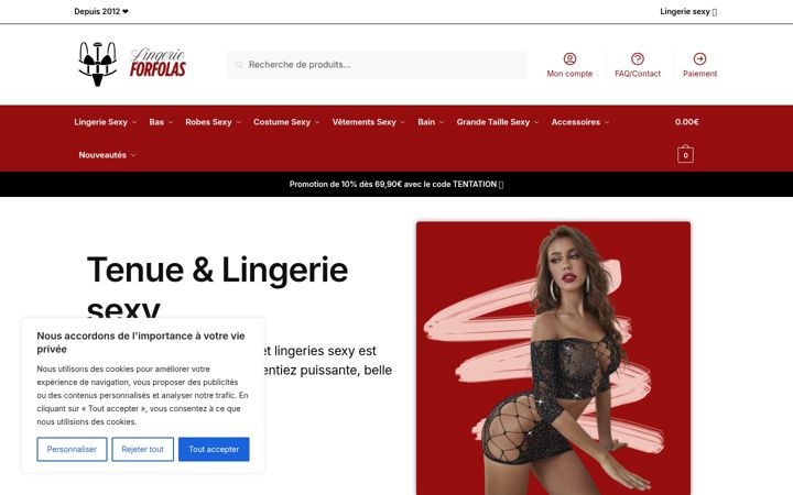 Screenshot of indecencedessens.fr