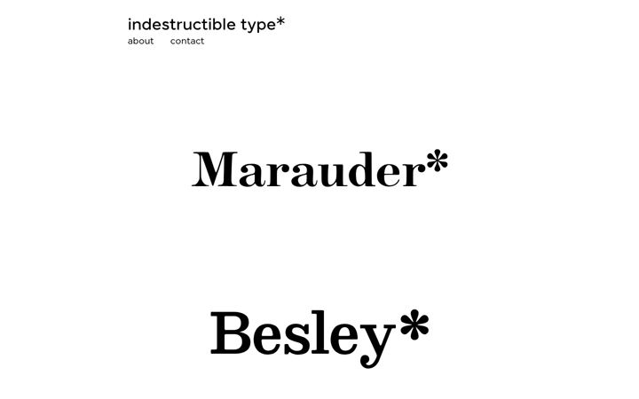 Screenshot of indestructibletype.com