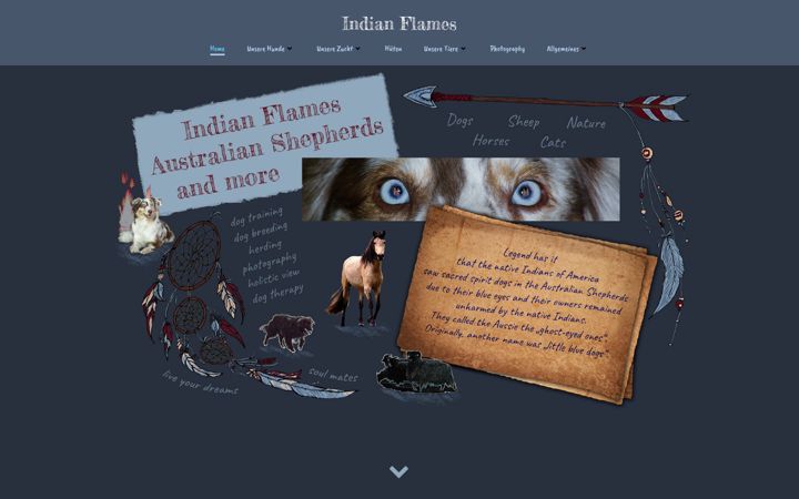 Screenshot of indian-flames-aussies.de
