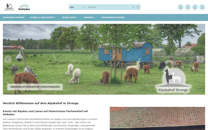 Screenshot of indianerschmuck-online.de