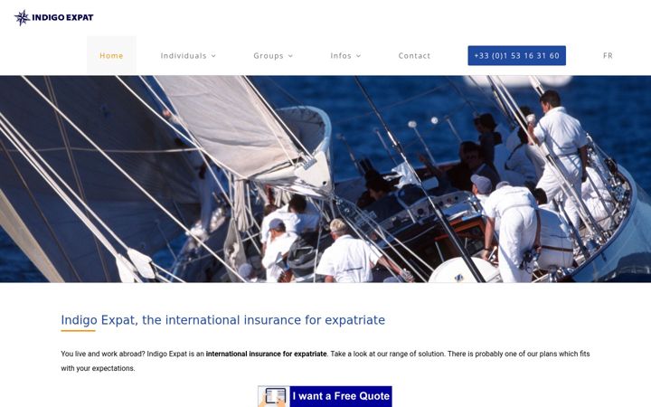 Snímek obrazovky indigo-expat.com