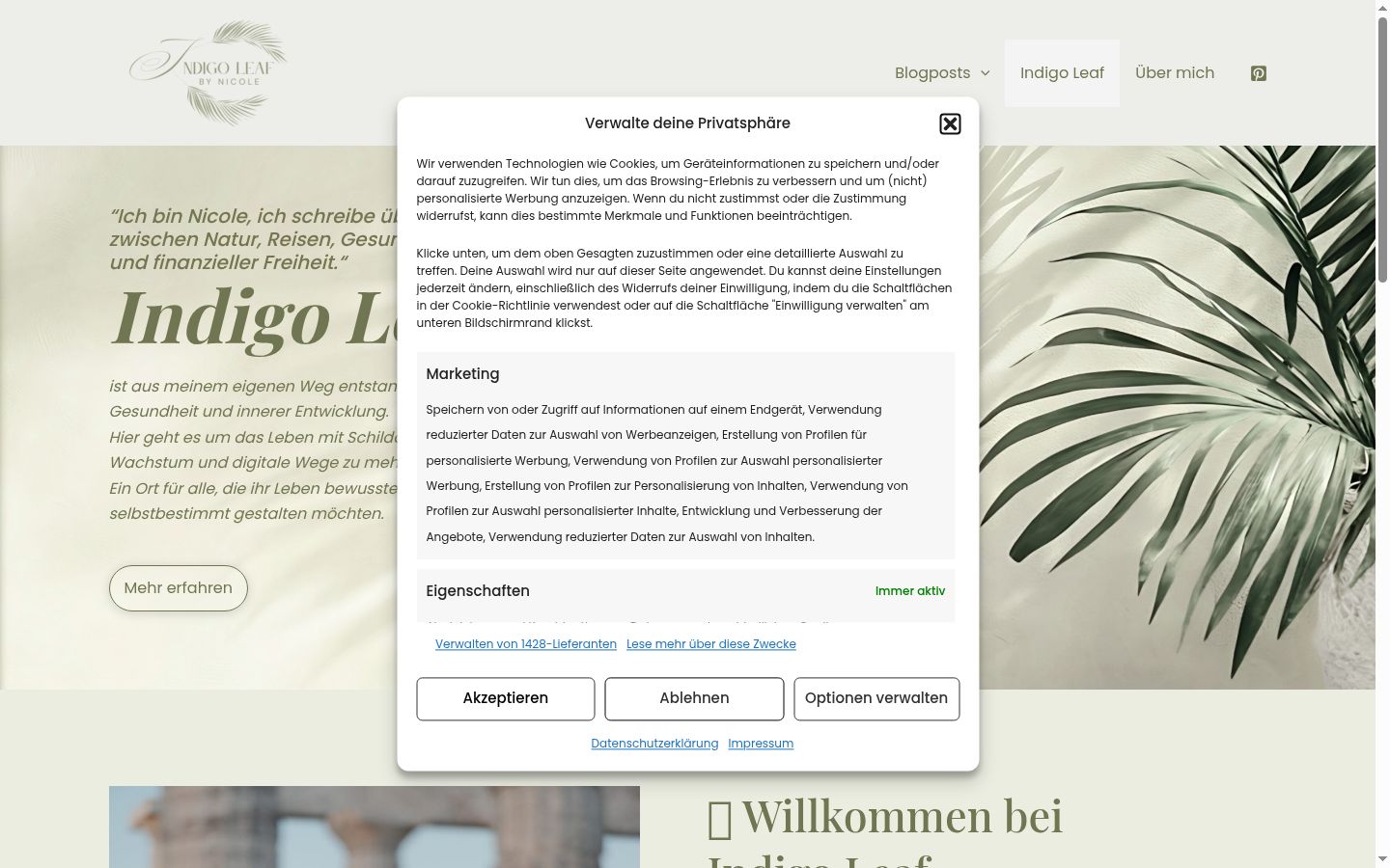 Screenshot del banner di consenso mostrato prima di qualsiasi interazione