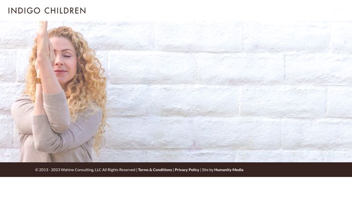Screenshot of indigochildren.com