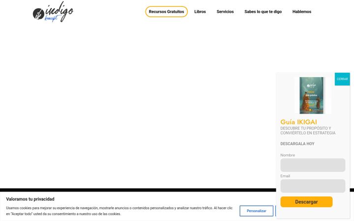 Screenshot ta' indigokoncept.com