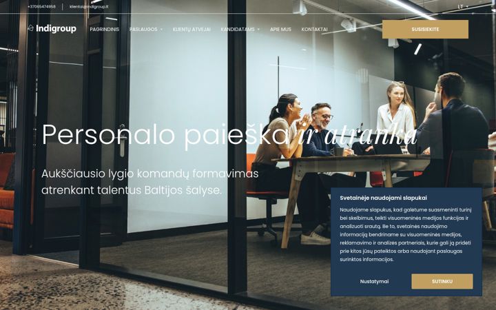 Posnetek zaslona indigroup.lt