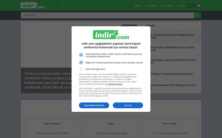 Screenshot of indir.com