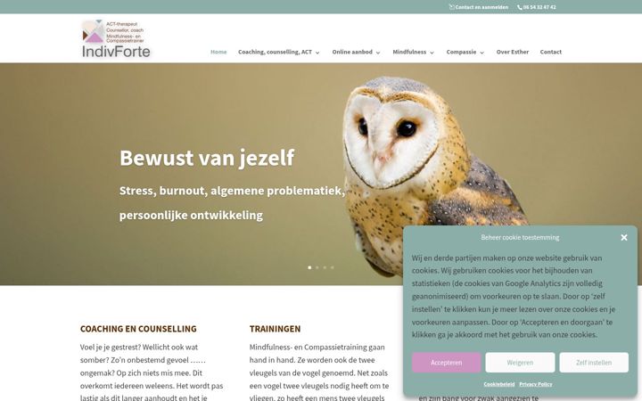 Screenshot of indivforte.nl
