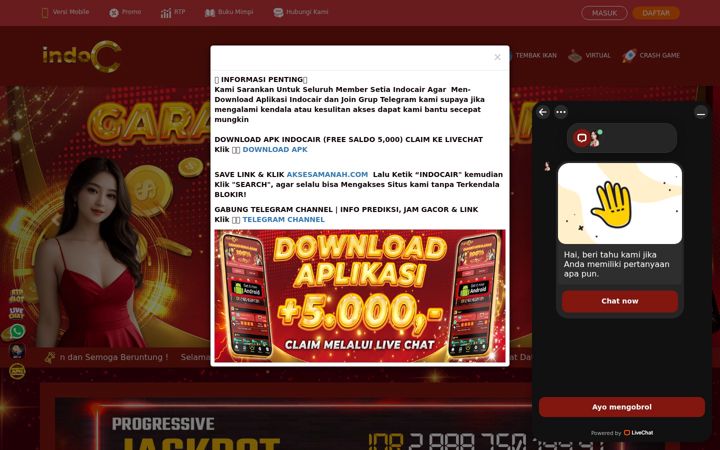 Kuvakaappaus sivustosta indocair101.xyz